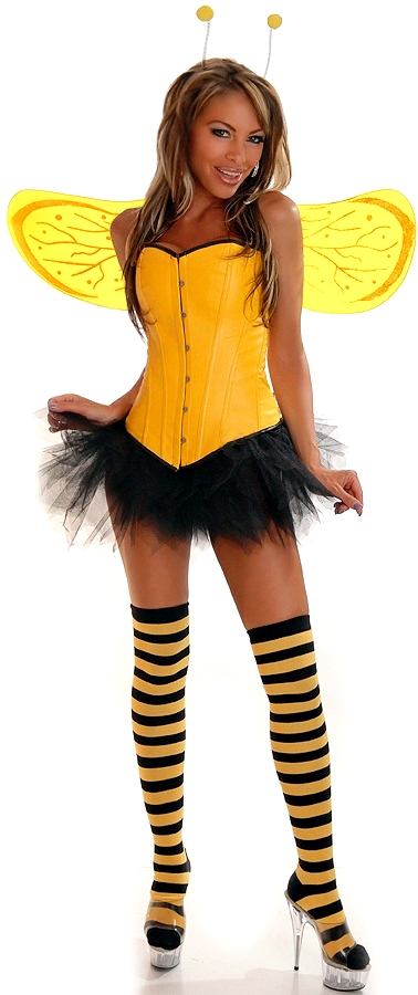 Five Piece Pin-Up Bumblebee Costume