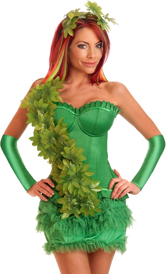 Sexy Ivy Vixen 4 Piece Costume