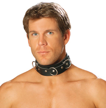 Leather Collar with Rings and Studs