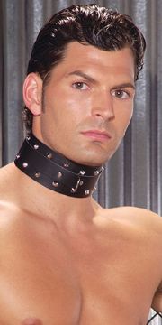 Leather Collar with Studs